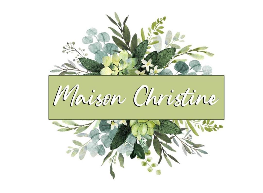 Maison Christine Torino Exterior foto